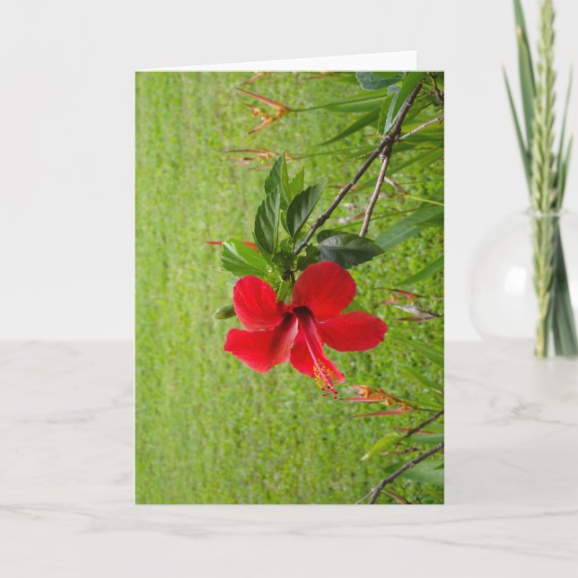 Carte de vœux avec fleur rouge sur la couverture (Devant)