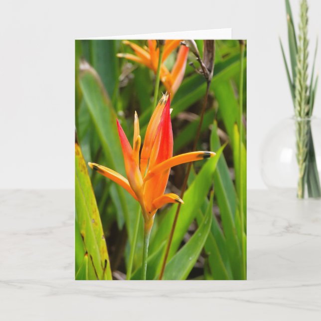 Carte de vœux avec fleurs orange sur la couverture (Devant)