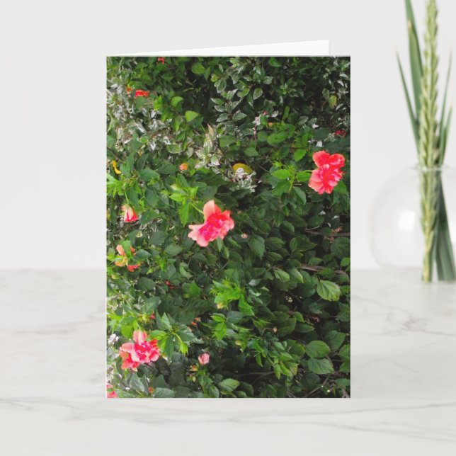 Carte de vœux avec fleurs roses (Devant)