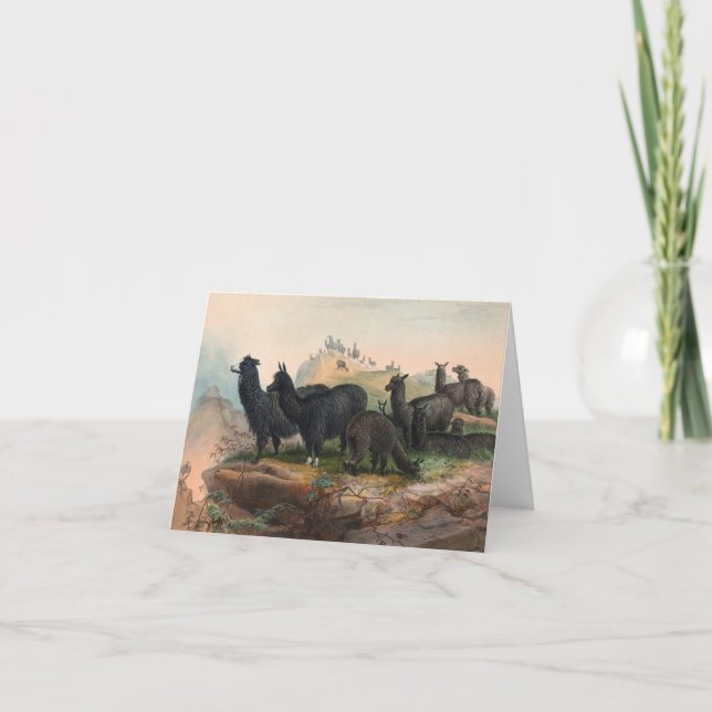 Carte de vœux avec illustration vintage d'alpacas  (Devant)