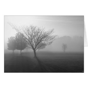Carte de voeux B&W Foggy Morning Sunrise