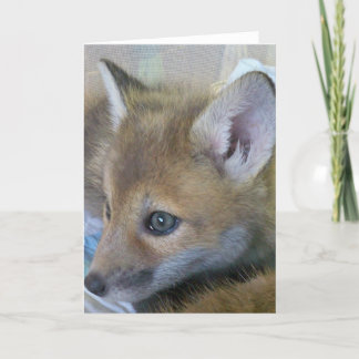 Carte de voeux Baby Fox