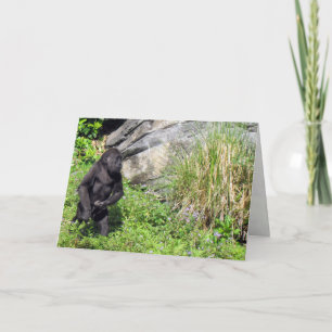 Carte de voeux Baby Gorilla