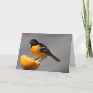 Carte de voeux Baltimore Oriole