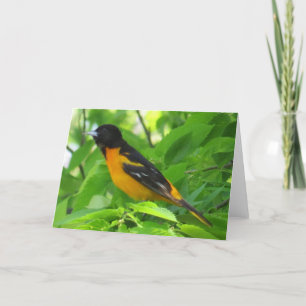 Carte de voeux Baltimore Oriole