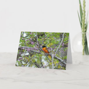Carte de voeux Baltimore Oriole