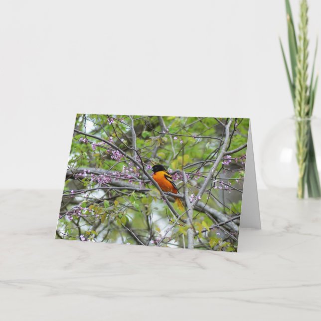 Carte de voeux Baltimore Oriole (Devant)
