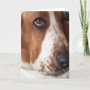 Carte de voeux Basset Hound Puppy