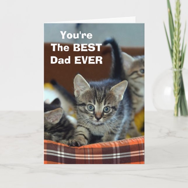 Carte de voeux BEST Papa Cat (Devant)