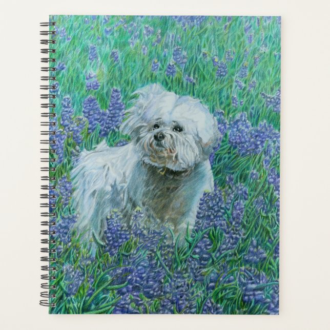 Carte de vœux Bichon dans des Bluebonnets (Devant)