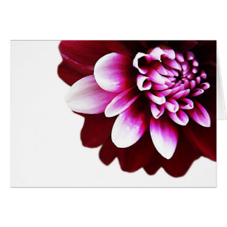 Carte de voeux bicolore noir Dahlia