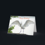 Carte de voeux Bird Happy Birthday Sister<br><div class="desc">Cette 'Photographie' est protégée par mes droits d'auteur, Christina Spiegeland. Cette photo ne doit PAS être vendue sur Amazon. Carte de voeux avec la phrase "Joyeux anniversaire !, avec une photo d'un Oiseau d'Aiguille blanc qui étire ses ailes". À l'intérieur de la carte dit "Joyeux anniversaire! À la plus grande...</div>