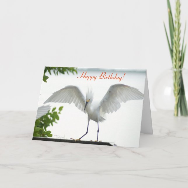 Carte de voeux Bird Happy Birthday Sister (Devant)