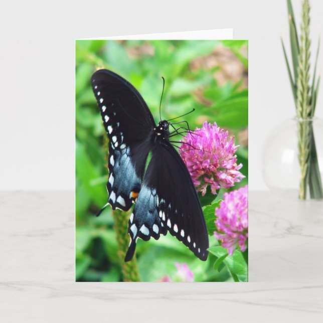 Carte de voeux Black Beauty Butterfly (Devant)