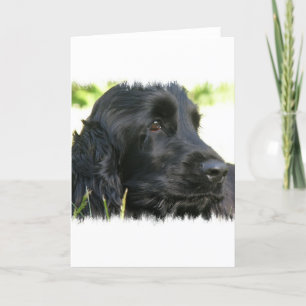 Carte de voeux Black Cocker Spaniel Dog