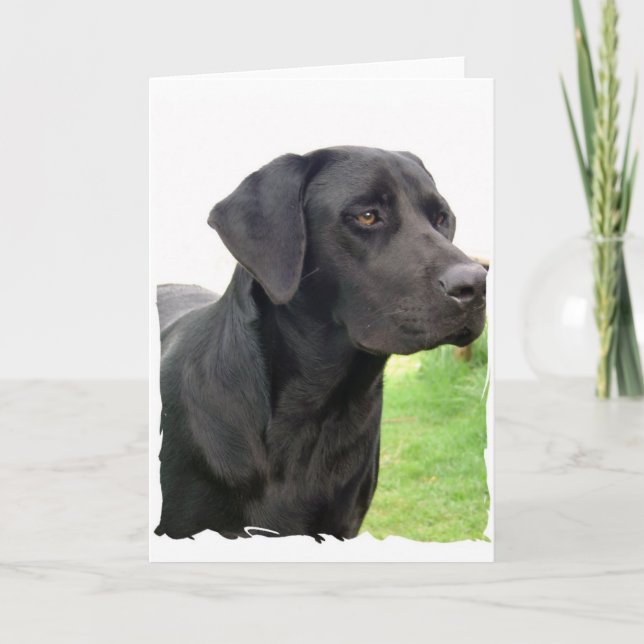 Carte de voeux Black Labrador Retriever (Devant)