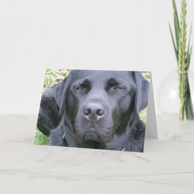 Carte de voeux Black Labrador Retriever Chien (Devant)