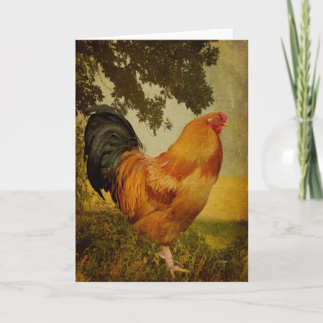 Carte de voeux blanche Chanticleer Rooster (Devant)