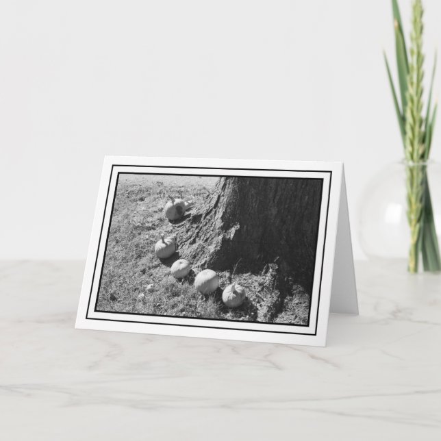 Carte de voeux blanche Citrouille d'automne (Devant)