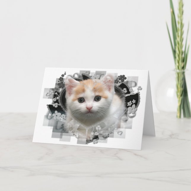 Carte de voeux blanche Cute Kitten (Devant)