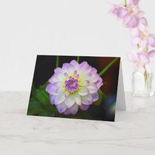 Carte de voeux blanche Dahlia Eveline