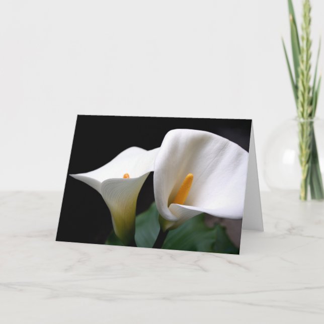 Carte de voeux blanche de fleur de zantedeschia (Devant)