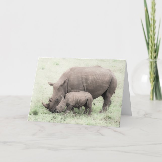 Carte de voeux blanche de rhinocéros et de bébé (Devant)