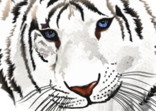 Cartes De Vœux Tigre Blanc Zazzle Fr Cartes De Vœux Tigre Blanc Zazzle Fr