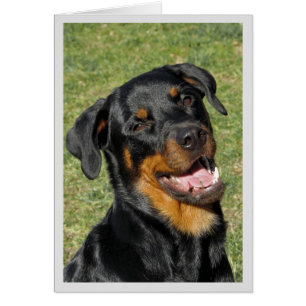 Carte de voeux blanche Heidi Cute Rottweiler
