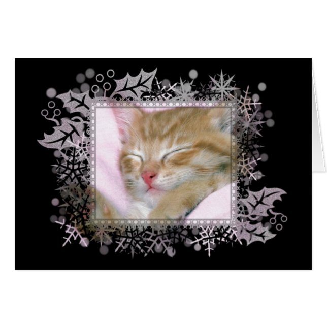 Carte de voeux blanche pour chaton couché (Devant horizontal)