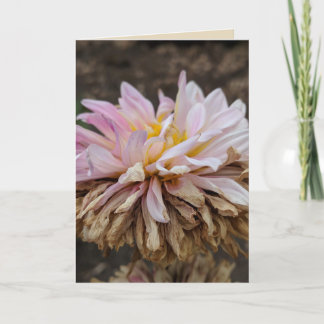 Carte de voeux blanche pour Dahlia Fall