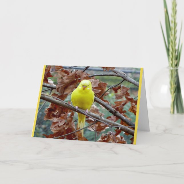 Carte de voeux blanche pour les oiseaux jaunes (Devant)