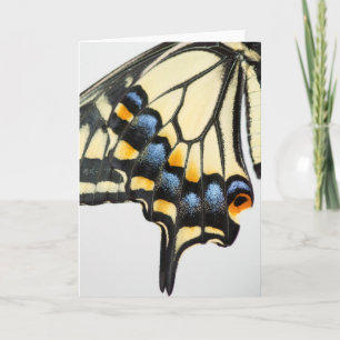 Carte de voeux blanche pour papillon Swallowtail