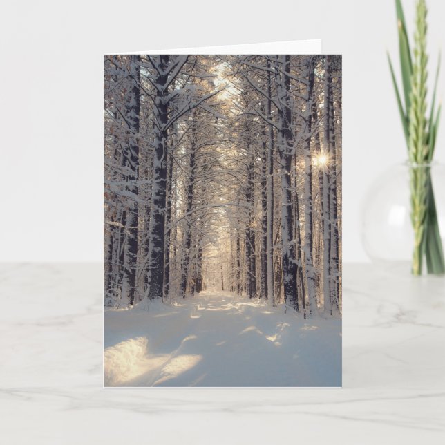 Carte de voeux blanche Winter Wonderland (Devant)