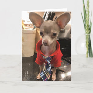 Carte de voeux Blank Chihuahua