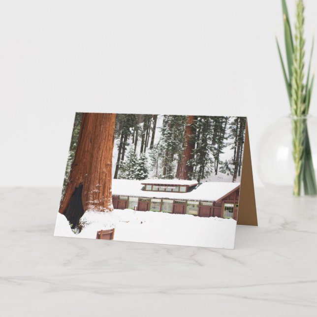 Carte de voeux Blank Holiday avec Redwoods enneigé (Devant)