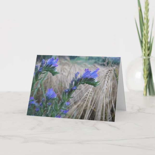 Carte de voeux bleu cornflowers (Devant)