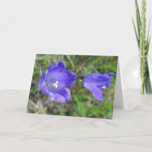 Carte de voeux bleu paire de fleurs belges, en bla