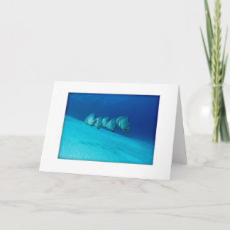 Carte de voeux bleue de Batfish