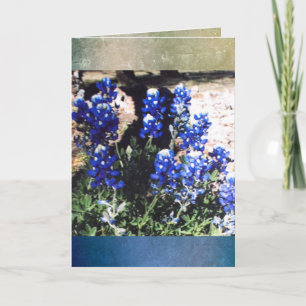 Carte de voeux bleue de blanc de capot