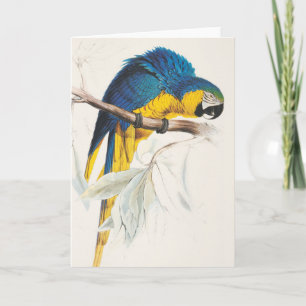 Carte de voeux bleue et jaune d'ara