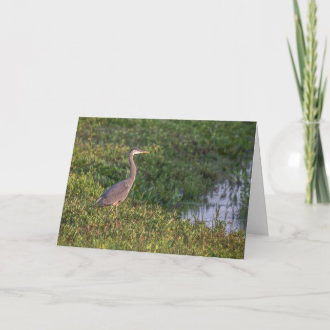 Carte de voeux Blue Heron (Devant)