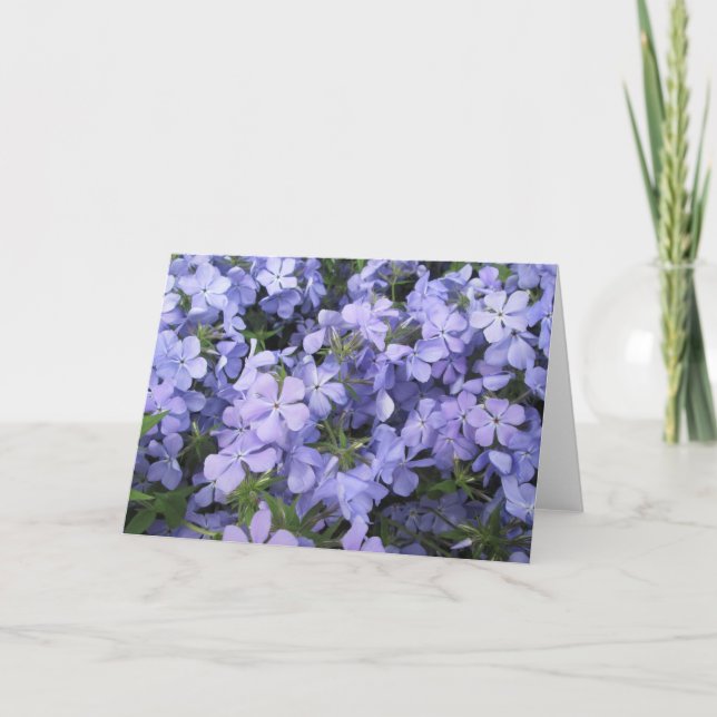 Carte de voeux - Blue Phone I (Devant)