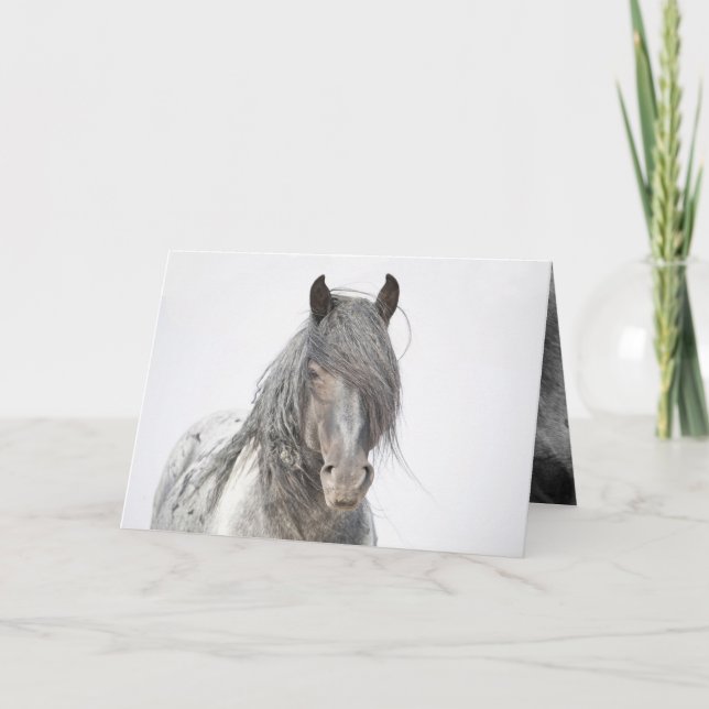 Carte de voeux Blue Zeus Portrait Wild Horse (Devant)