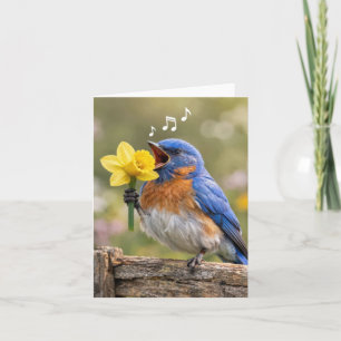 Carte de vœux Bluebird chantant avec un narcisse j