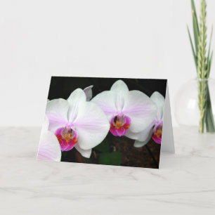 Carte de voeux Blushing Bride Orchids