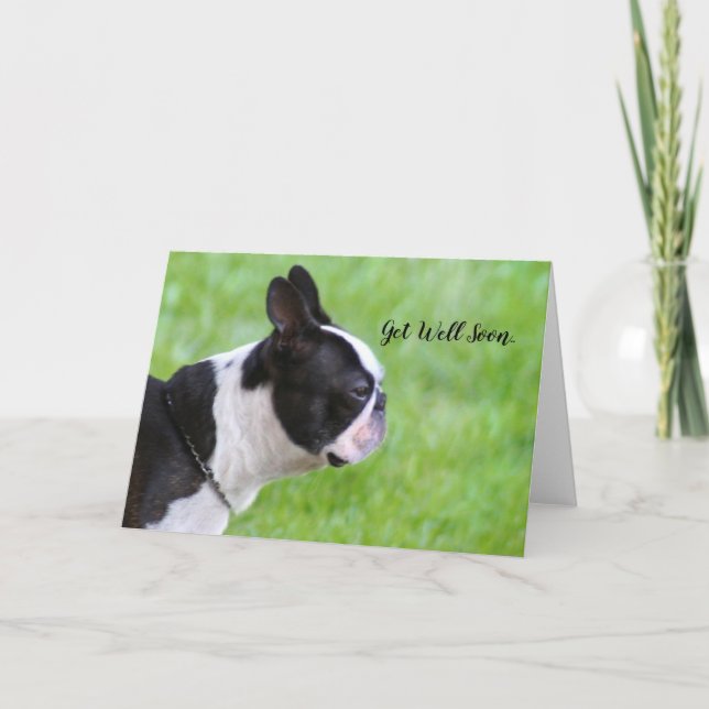 Carte de vœux Bon rétablissement Boston Terrier (Devant)