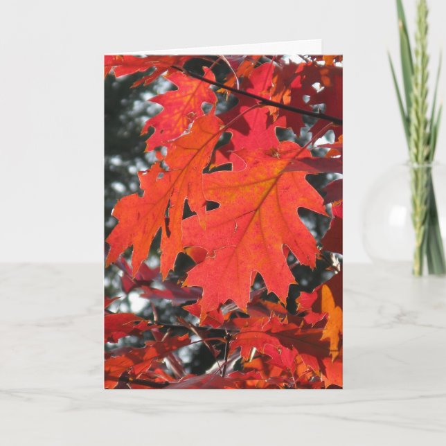 CARTE DE VOEUX BONJOUR FEUILLES D'AUTOMNE (Devant)