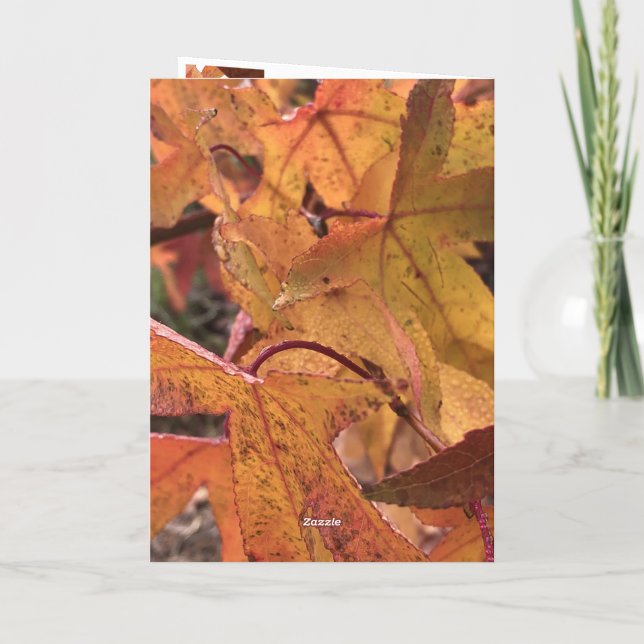 Carte de vœux "Bonjour l'automne !" (Dos)