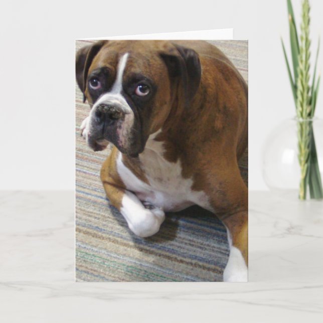 Carte de voeux Boxer Chien (Devant)